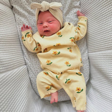 Load image into Gallery viewer, Oatmeal headwrap