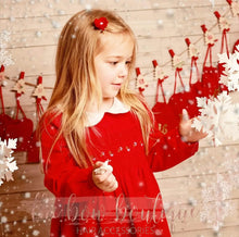 Load image into Gallery viewer, The ultimate Christmas box - choose clips or headbands