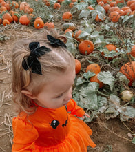 Load image into Gallery viewer, Velvet ribbon bows - 14 colours