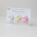 My first mini butterfly clip set