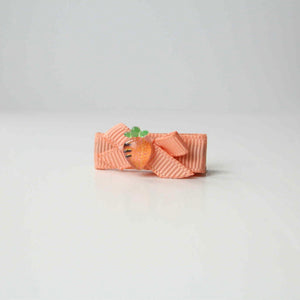My first fruit ribbon clips