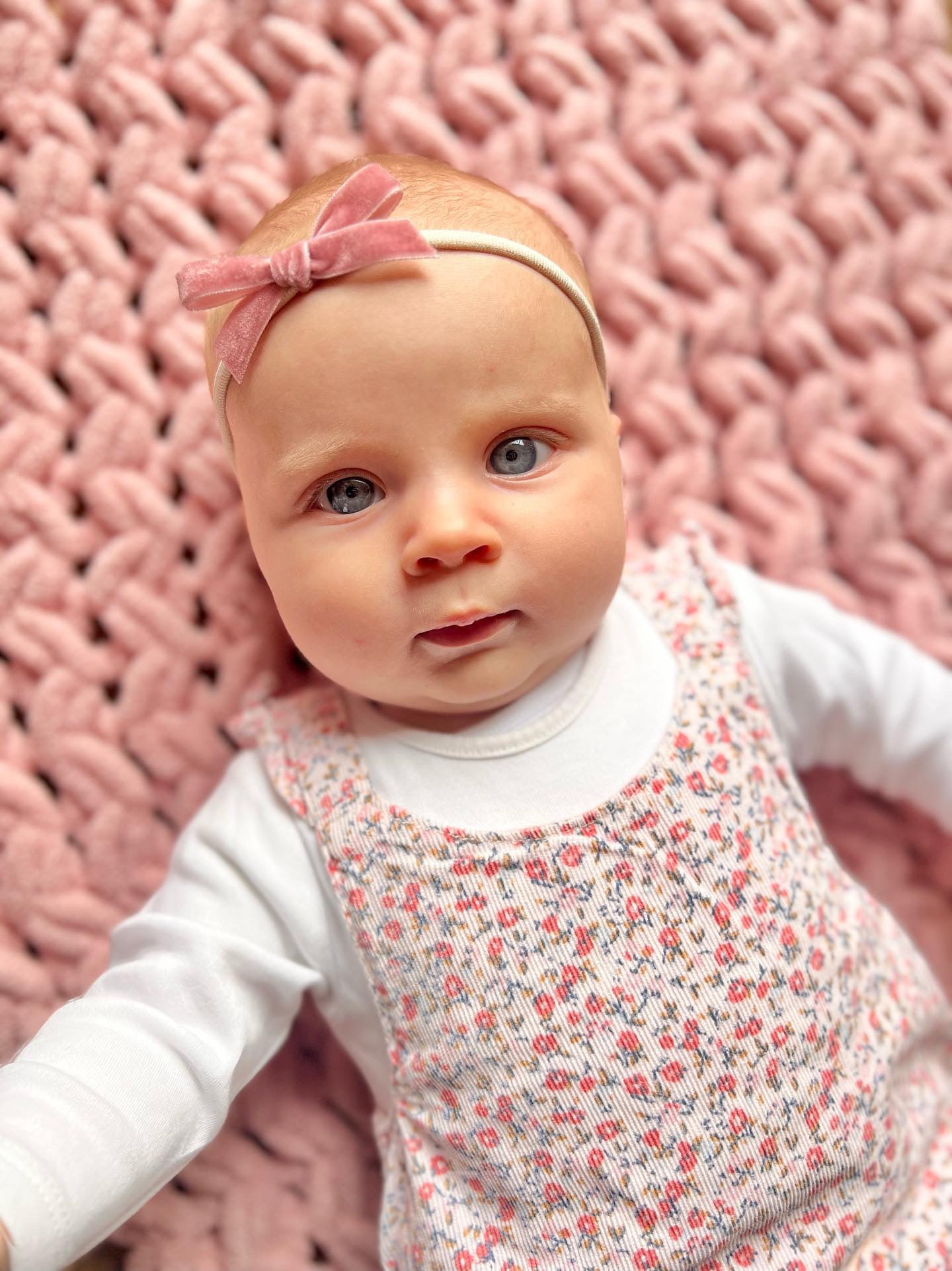 Velvet sales bows baby