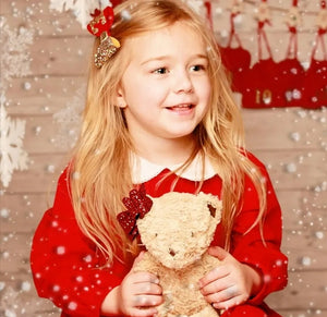 The ultimate Christmas box - choose clips or headbands