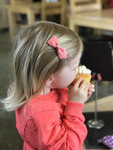 Load image into Gallery viewer, Pinch bow pigtail sets - 32 Colours