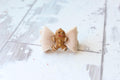 Mini baby felt gingerbread | Clip, headband or bobble
